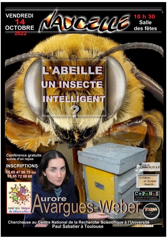 Conférence Abeille