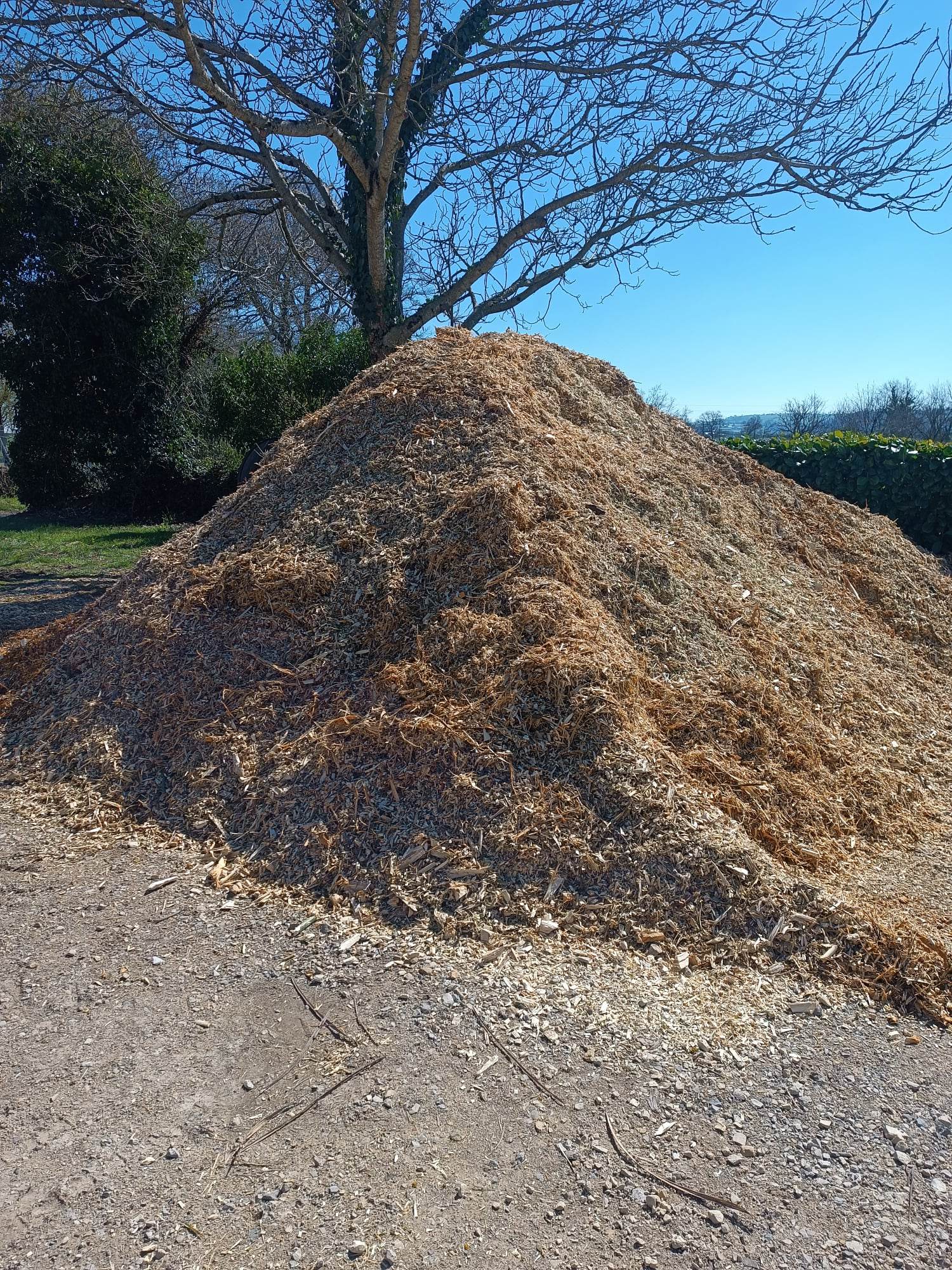 Lire la suite à propos de l’article DU BROYAT DE BRANCHAGES POUR VOS JARDINS